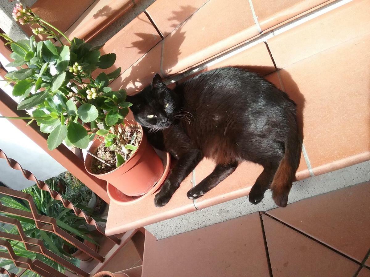 Appartamento Relax Терні Екстер'єр фото